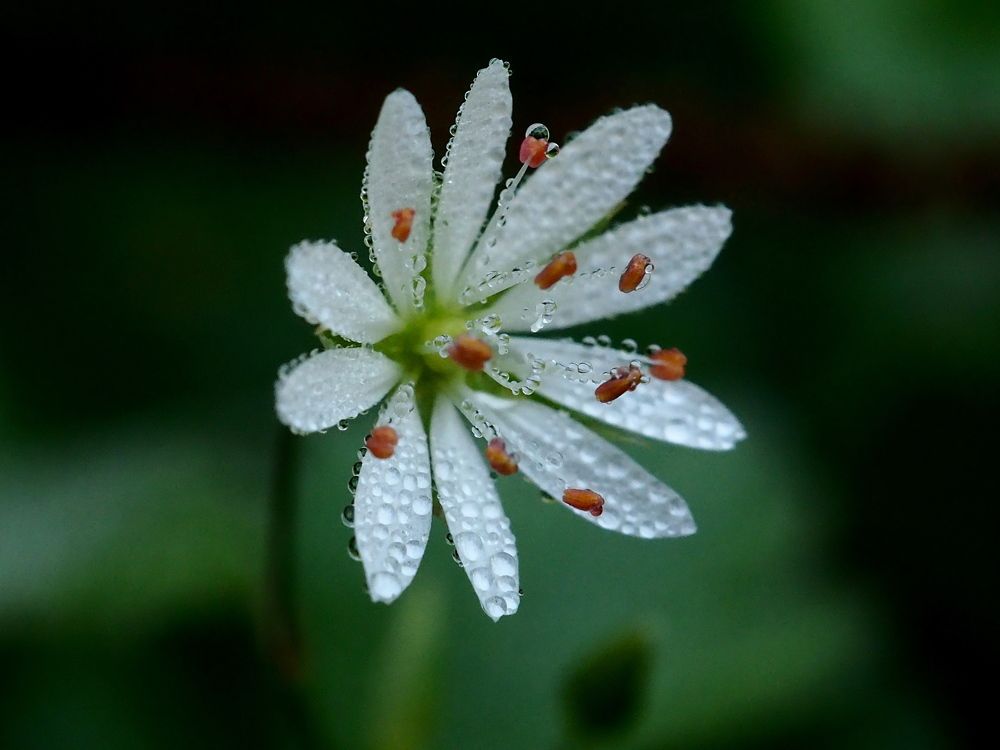 Photograph by Елена Харитонова