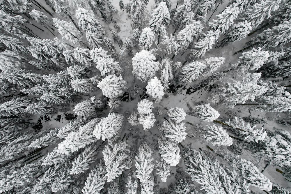 Photograph by Дмитрий Костяков