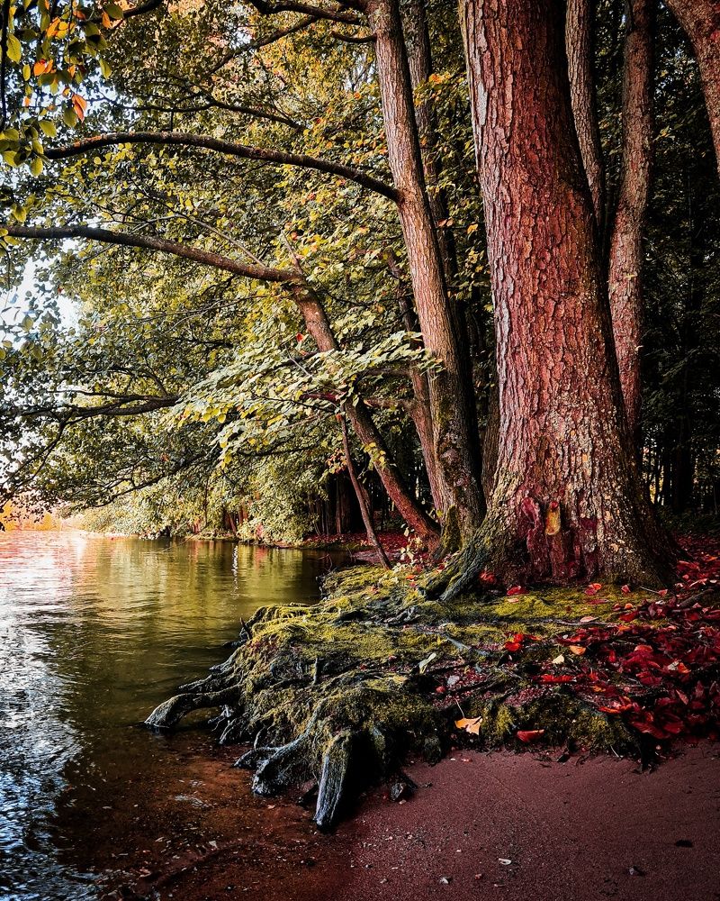 Photograph by Татьяна Соколовская