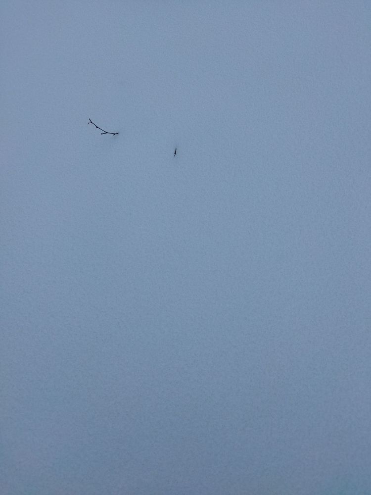 Фотография автора OKazik