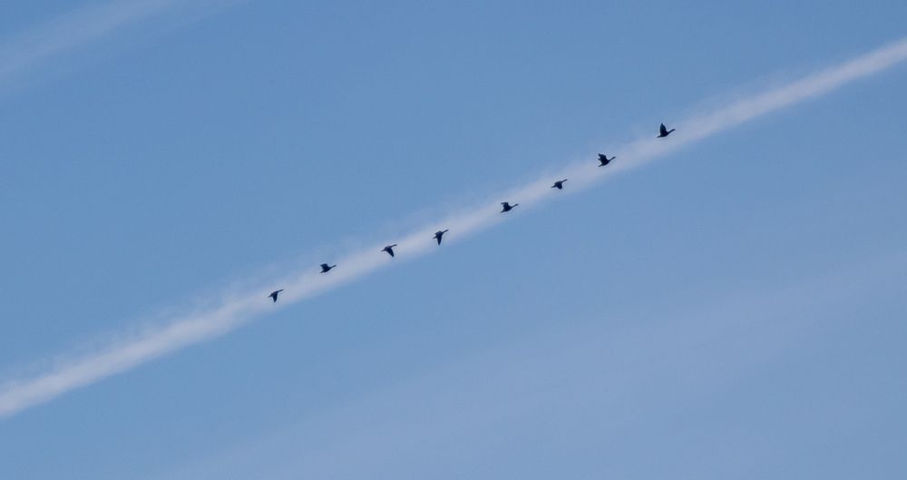 Photograph by Татьяна Романова