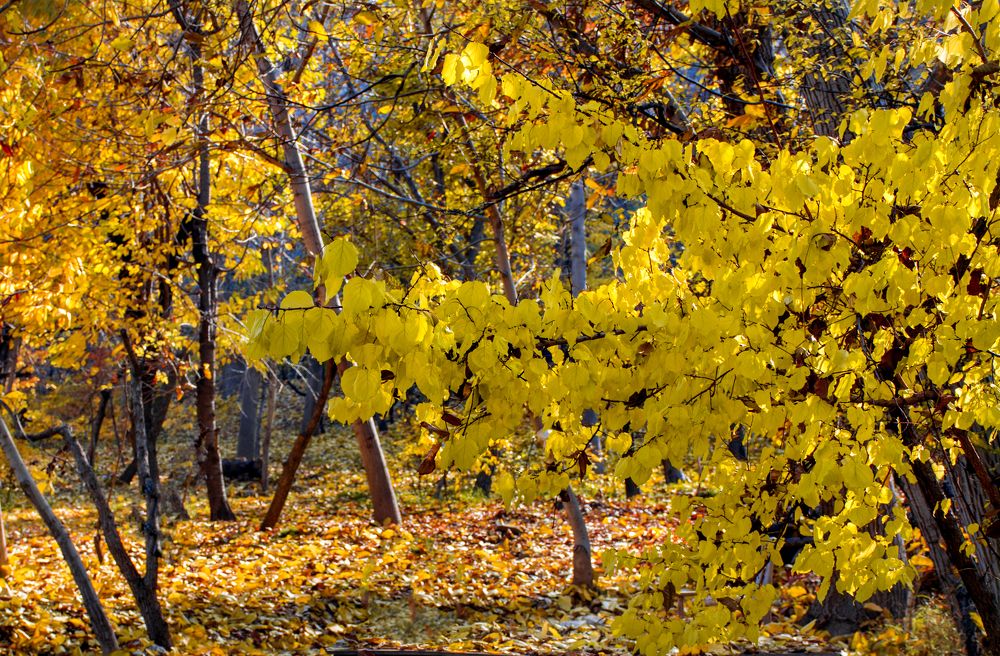 Photograph by Mahmoodreza Noraei