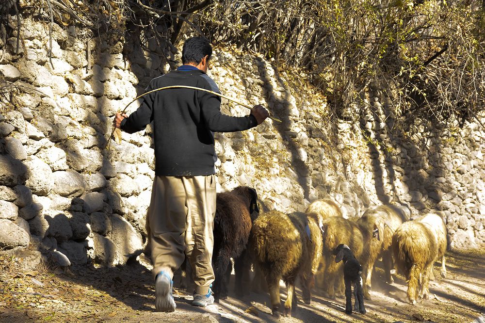 Фотография автора Mohammad Khani