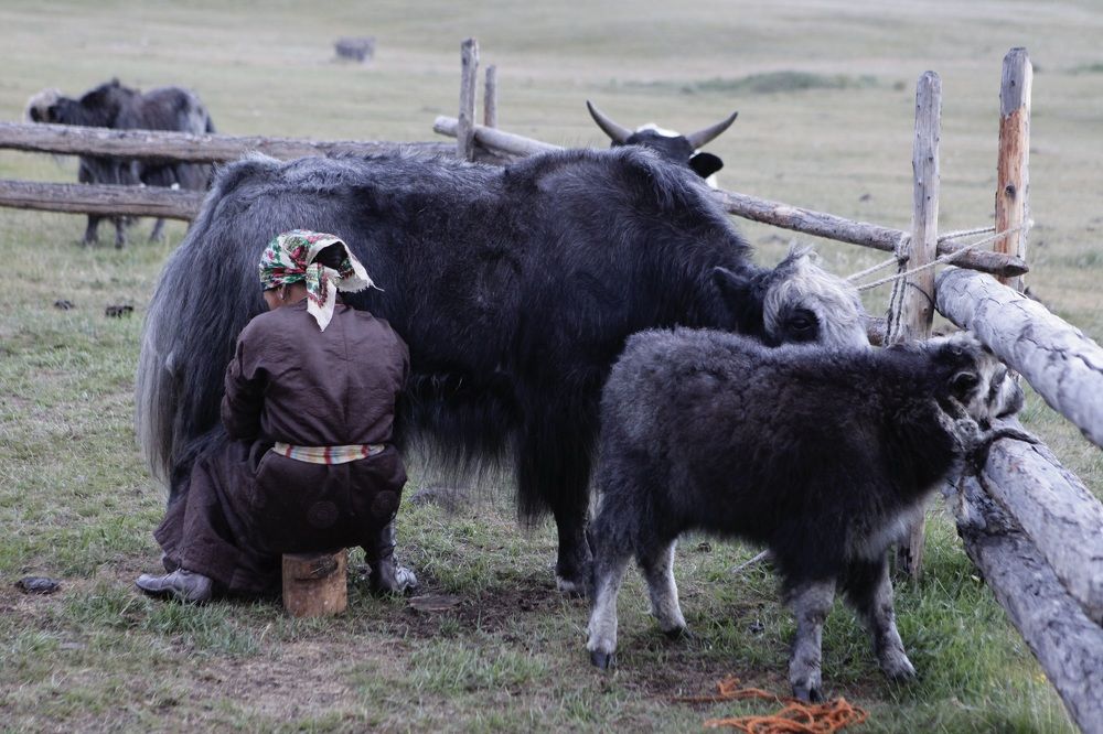 Photograph by Анна Нечаева