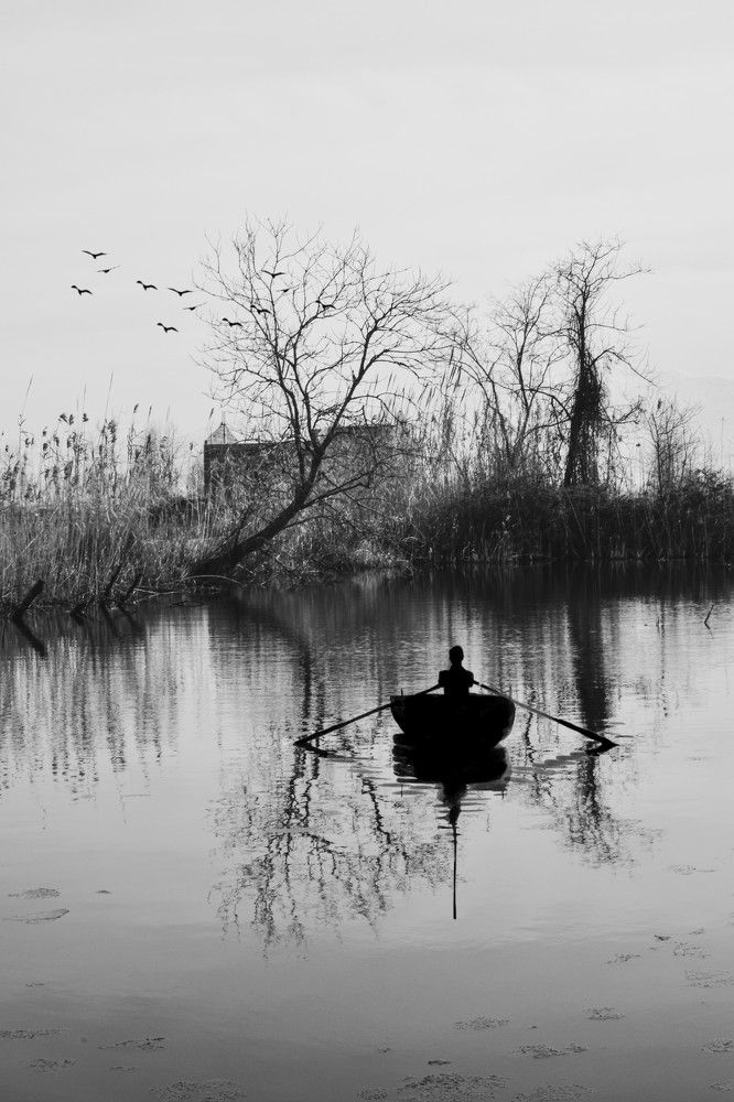 Photograph by parmida mirazimi