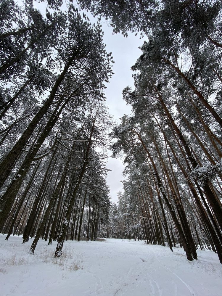 Photograph by Alyona Kokshyna