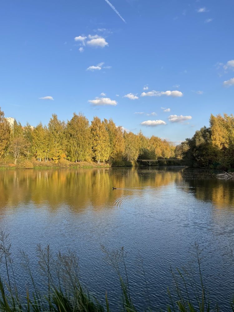 Photograph by Виталий Гибадулин