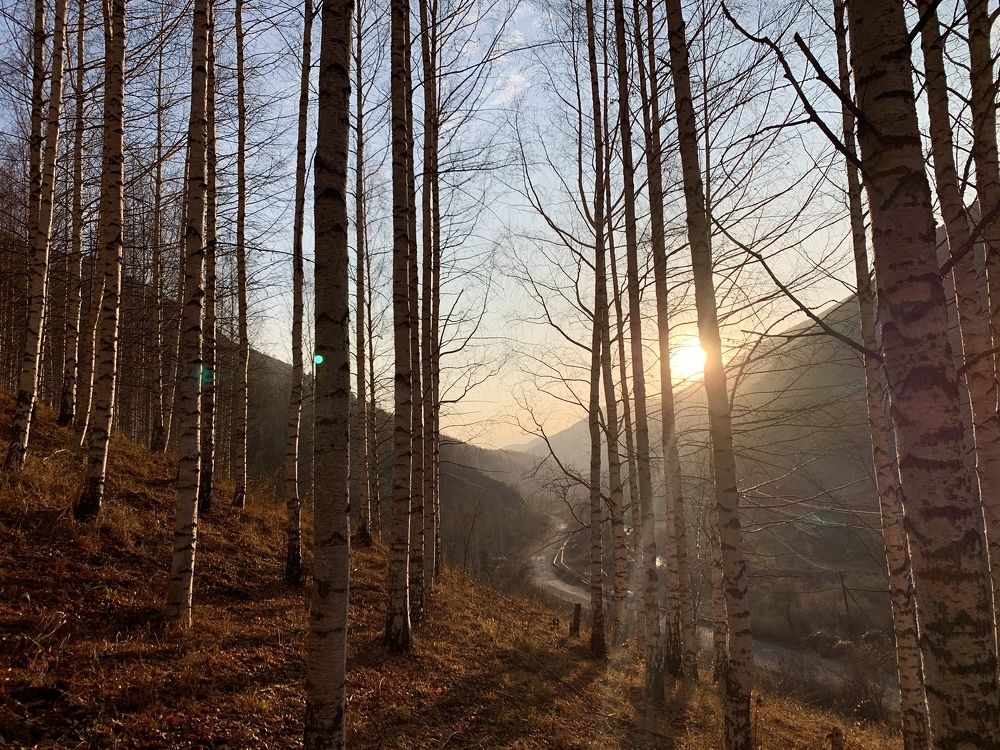 Photograph by Виталий Гибадулин