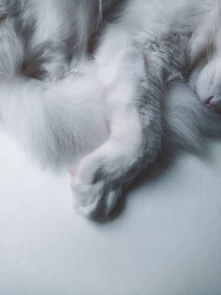 Photograph by Владислав Данилов