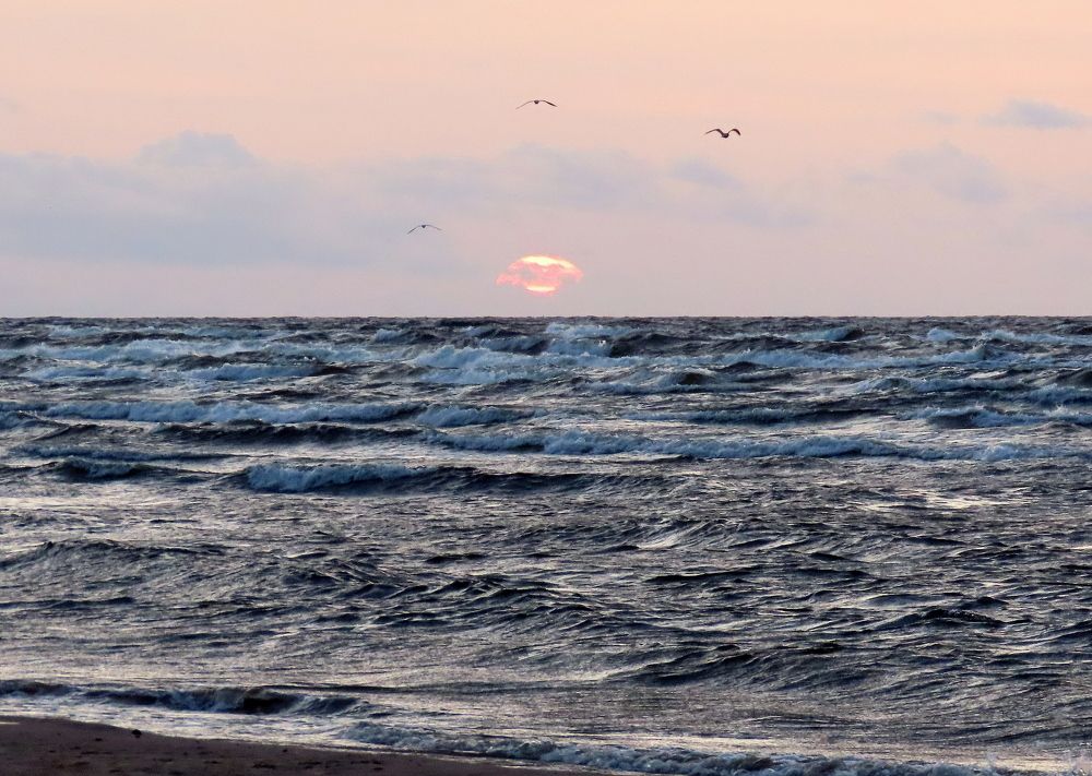 Photograph by Pjotr Alekseev