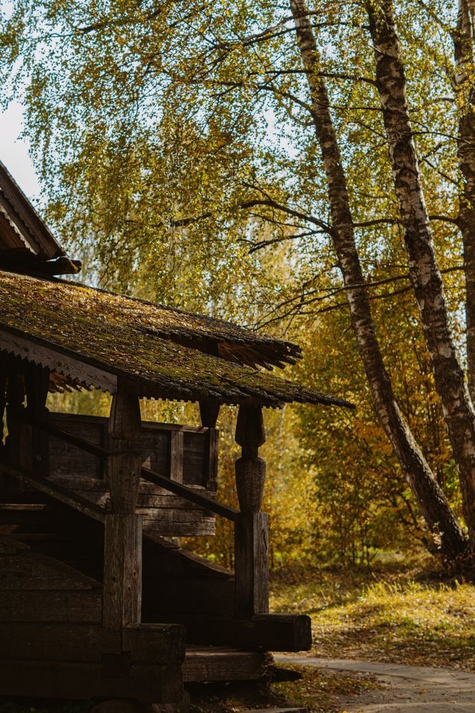 Photograph by Гюзель Даугуль