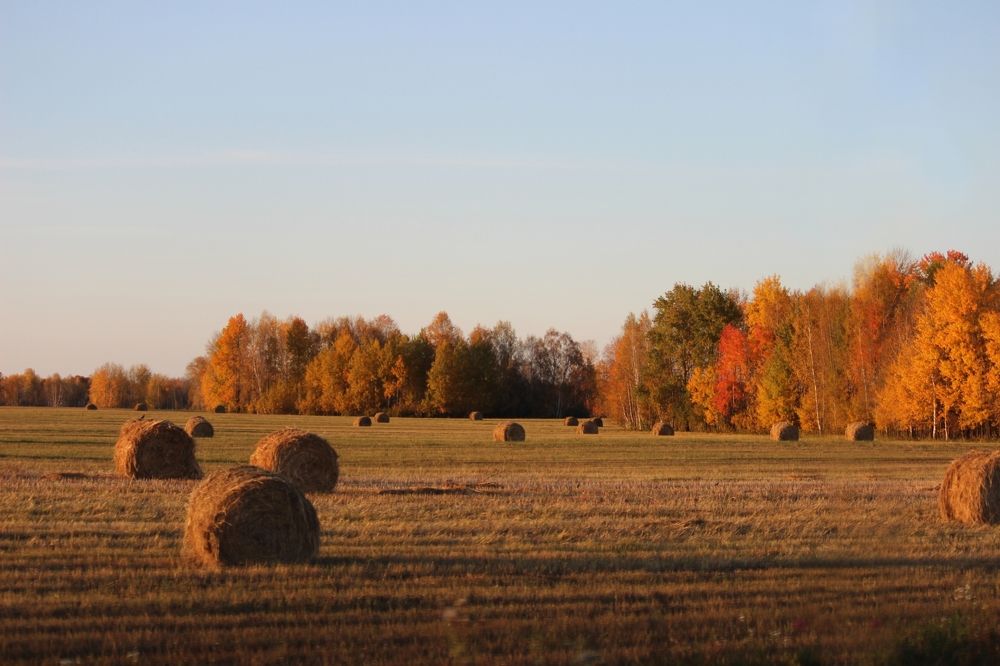 Photograph by Абрам Петерс