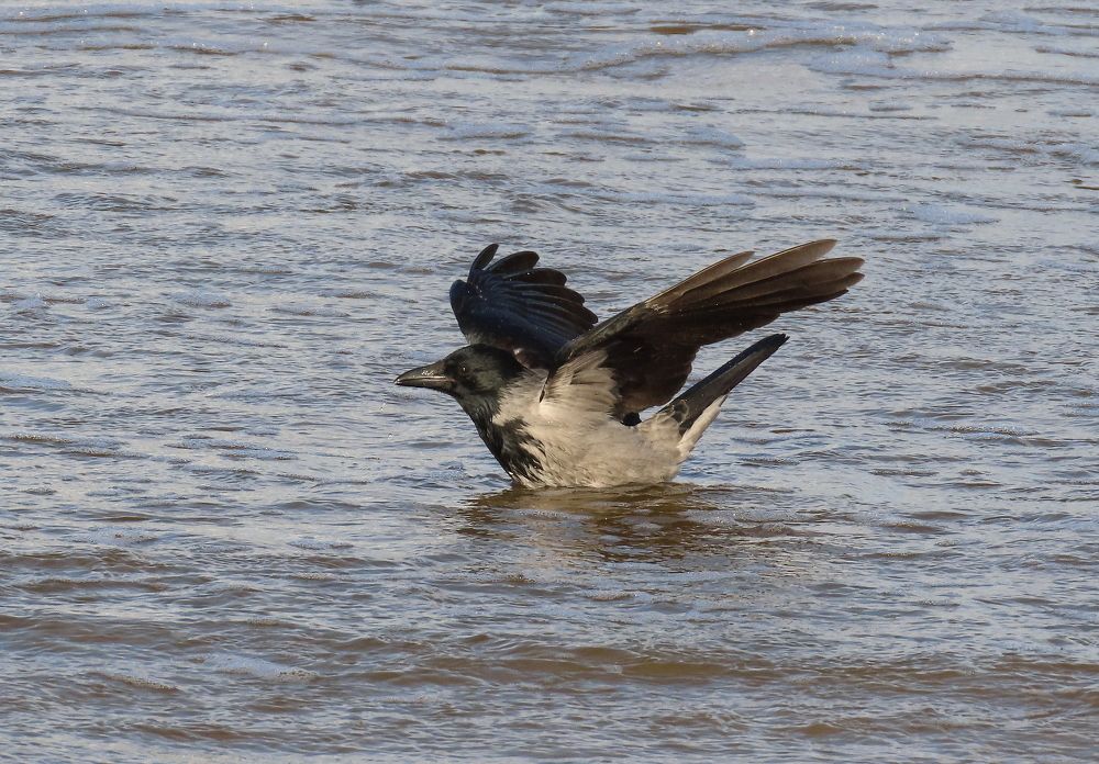 Photograph by Pjotr Alekseev