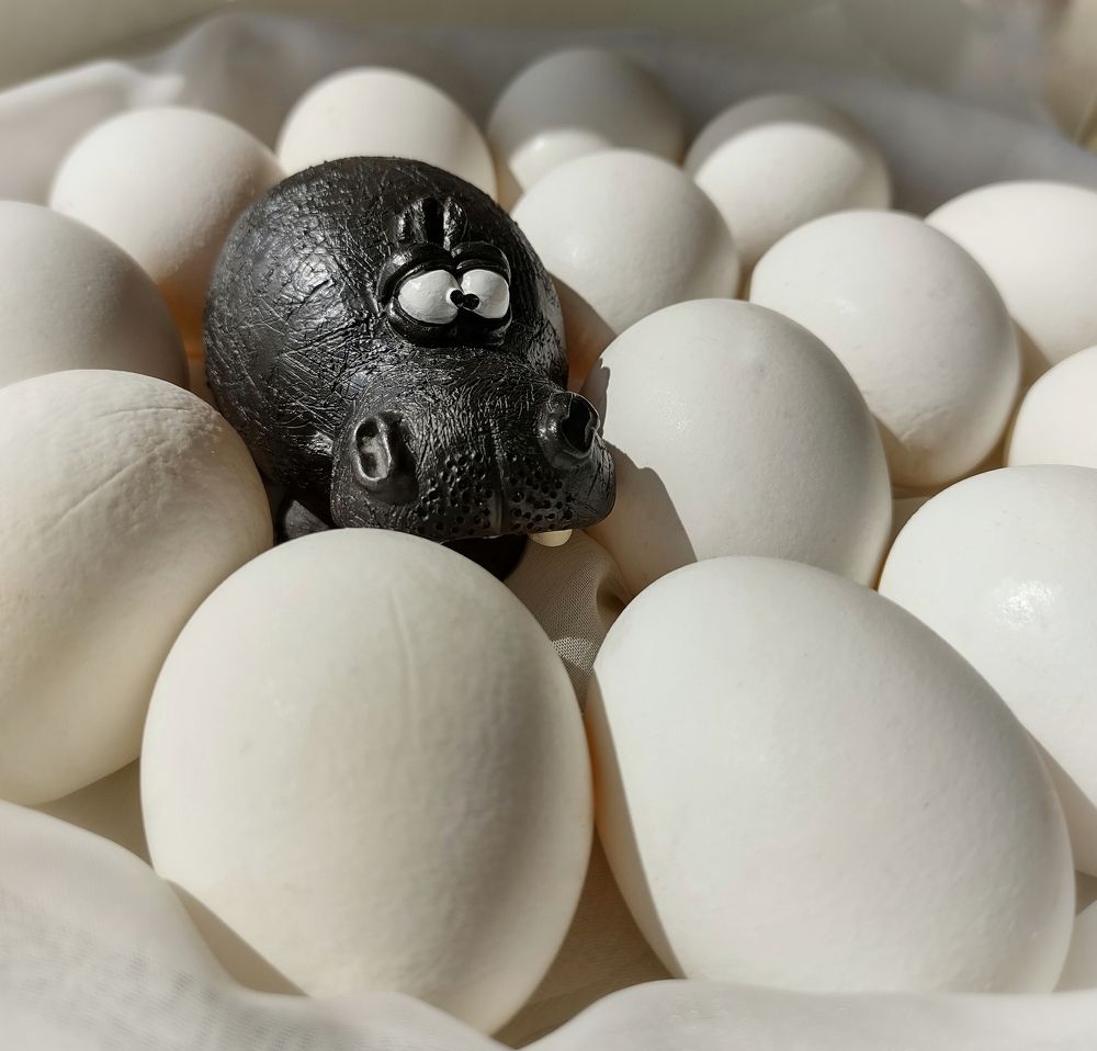 Photograph by Oksana