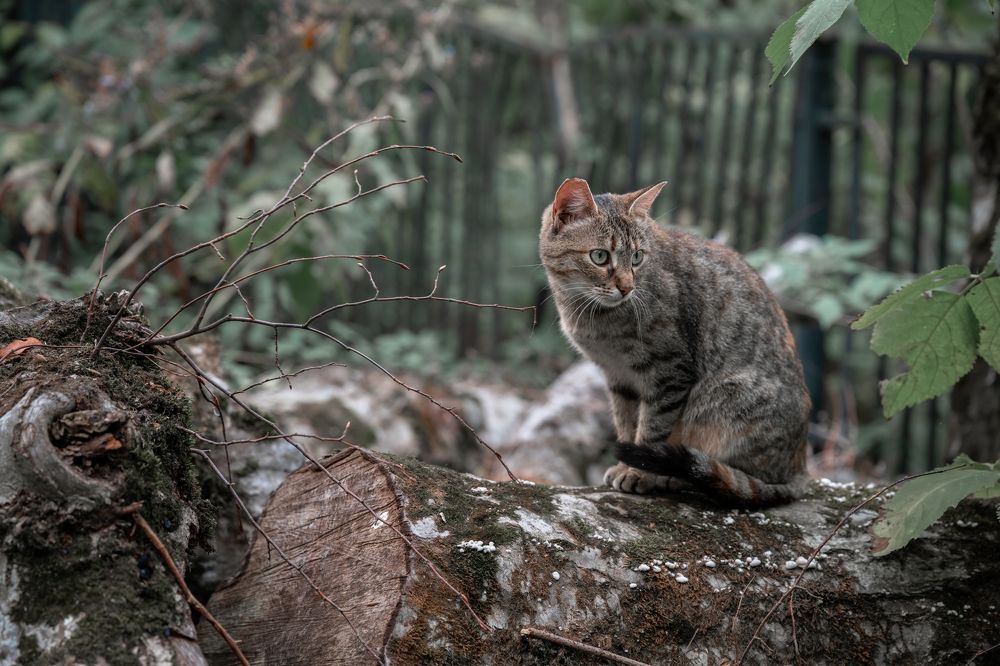 Photograph by Алик