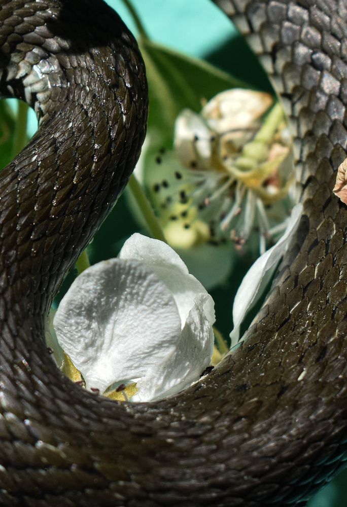 Photograph by Татьяна Носкович