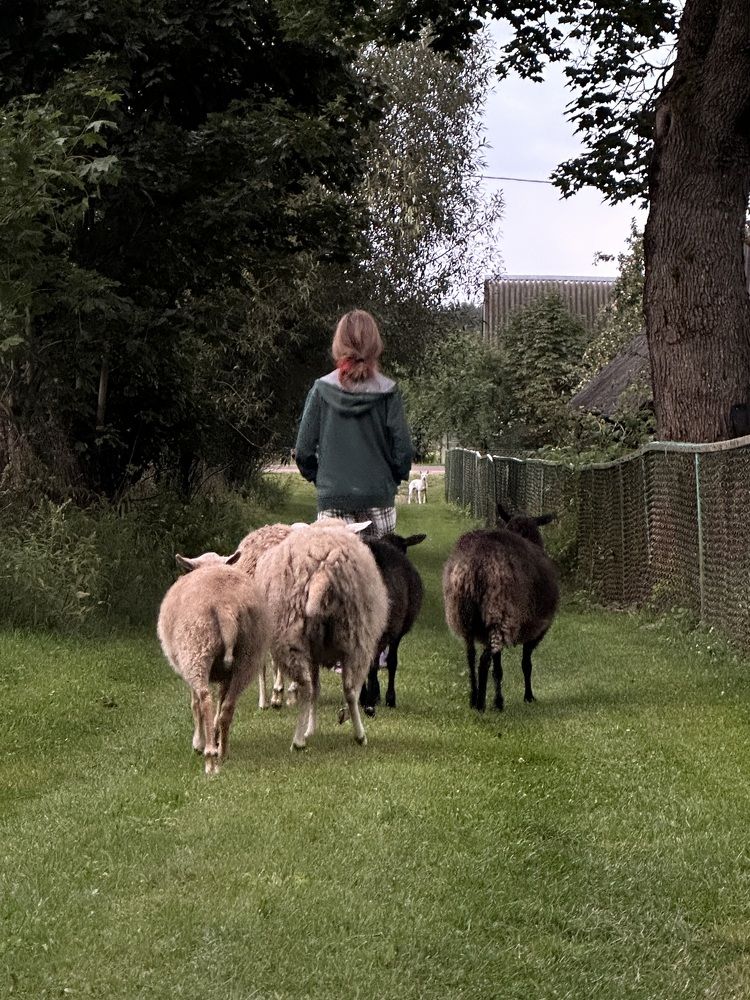 Фотография автора Наталья Васько -Черданцева