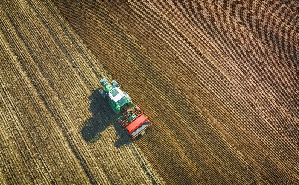 Photograph by Guy Krier