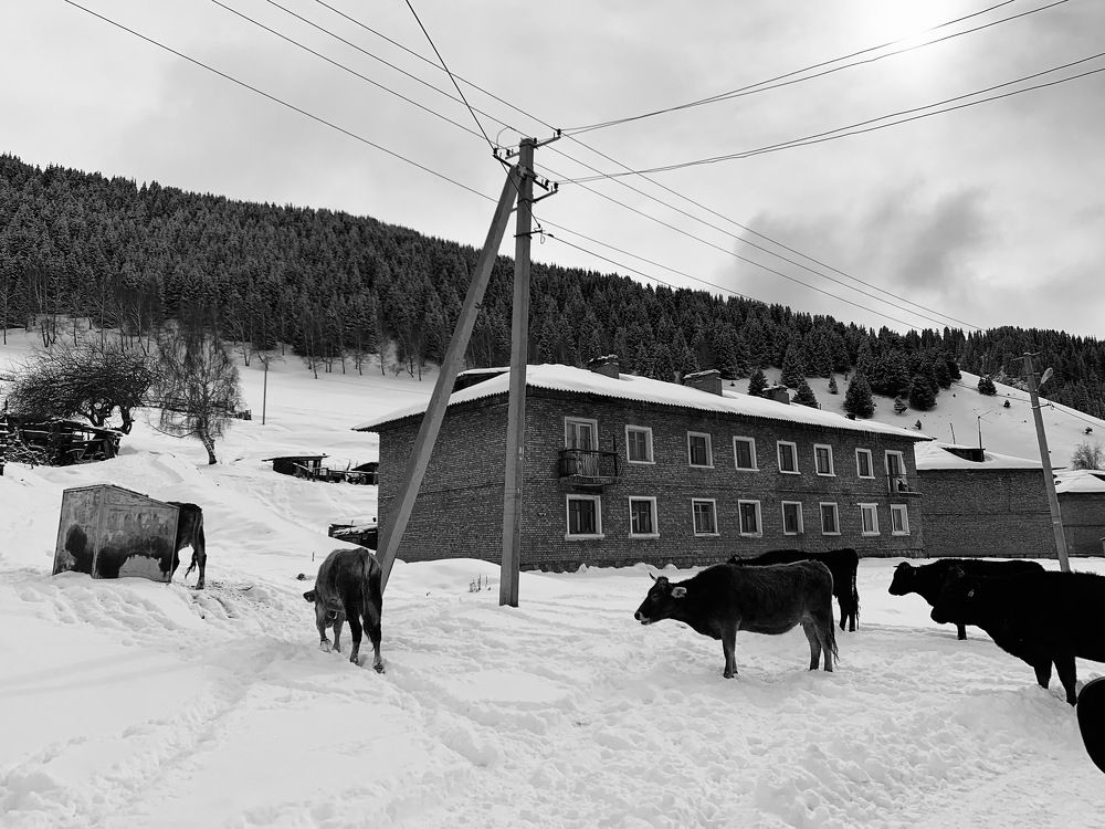 Photograph by Виталий Гибадулин