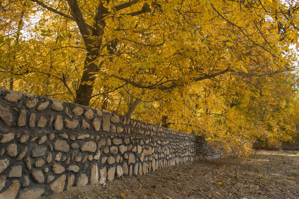 Photograph by Mahmoodreza Noraei