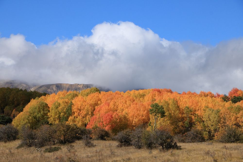 Photograph by Cengiz Yalcin