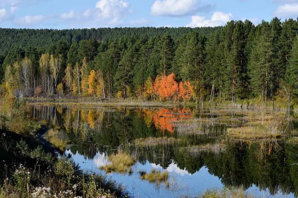 Photograph by Nadezhda