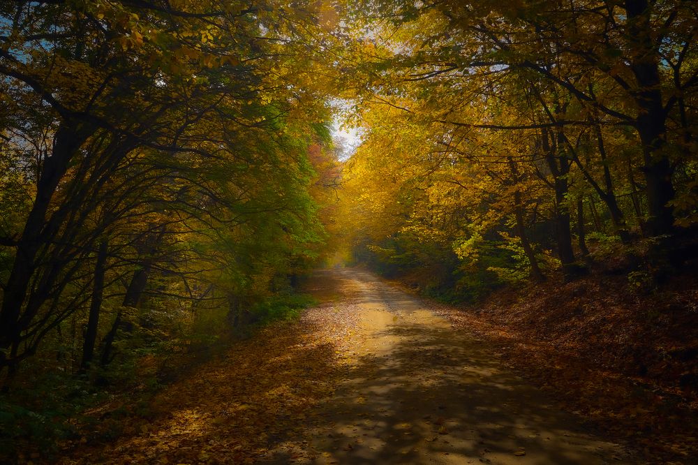 Photograph by Artyom Mamyan