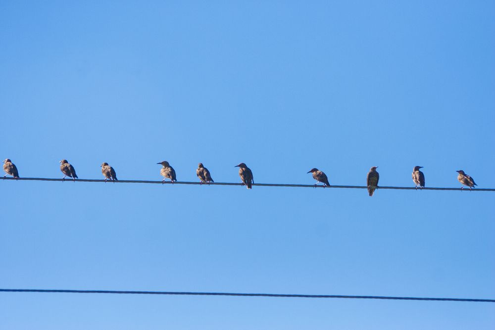 Photograph by Александр Савельев