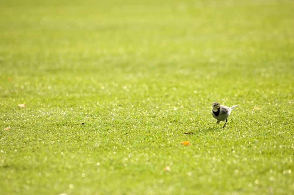 Photograph by Александр Савельев