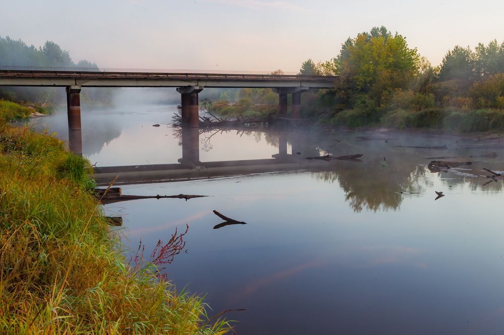 Сонные берега
