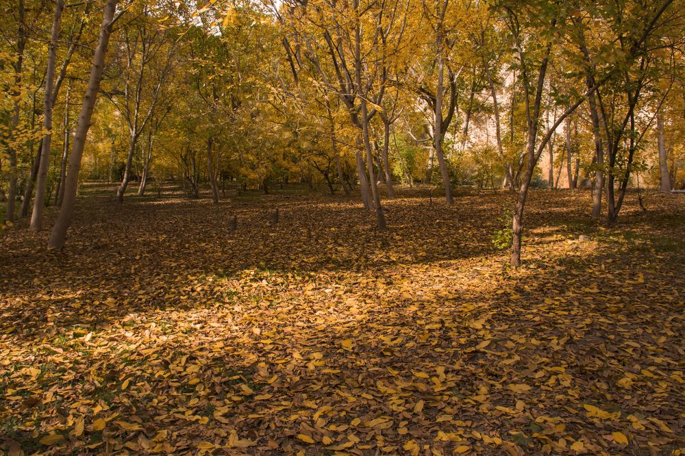 Photograph by Mahmoodreza Noraei