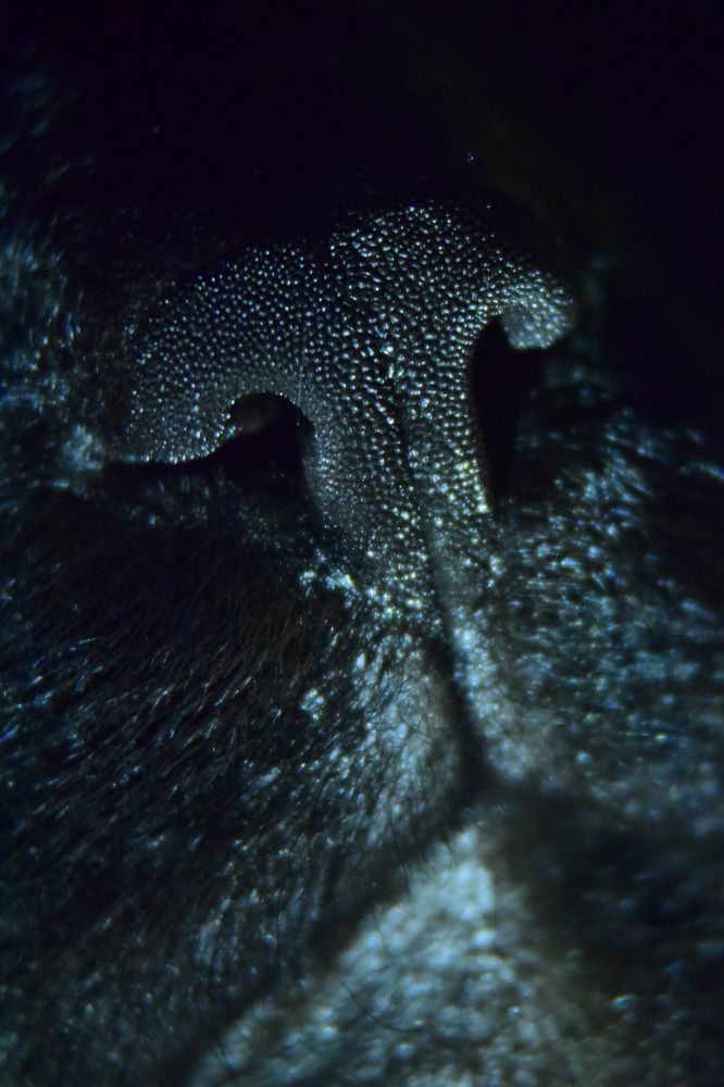 Photograph by Эльвира Быкова