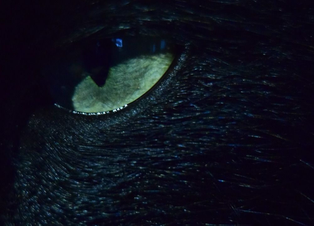 Photograph by Эльвира Быкова