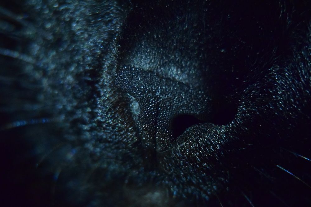 Photograph by Эльвира Быкова