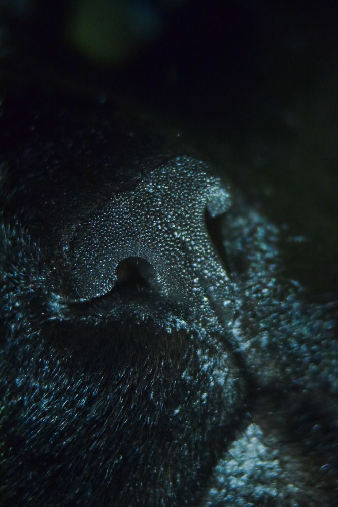 Photograph by Эльвира Быкова