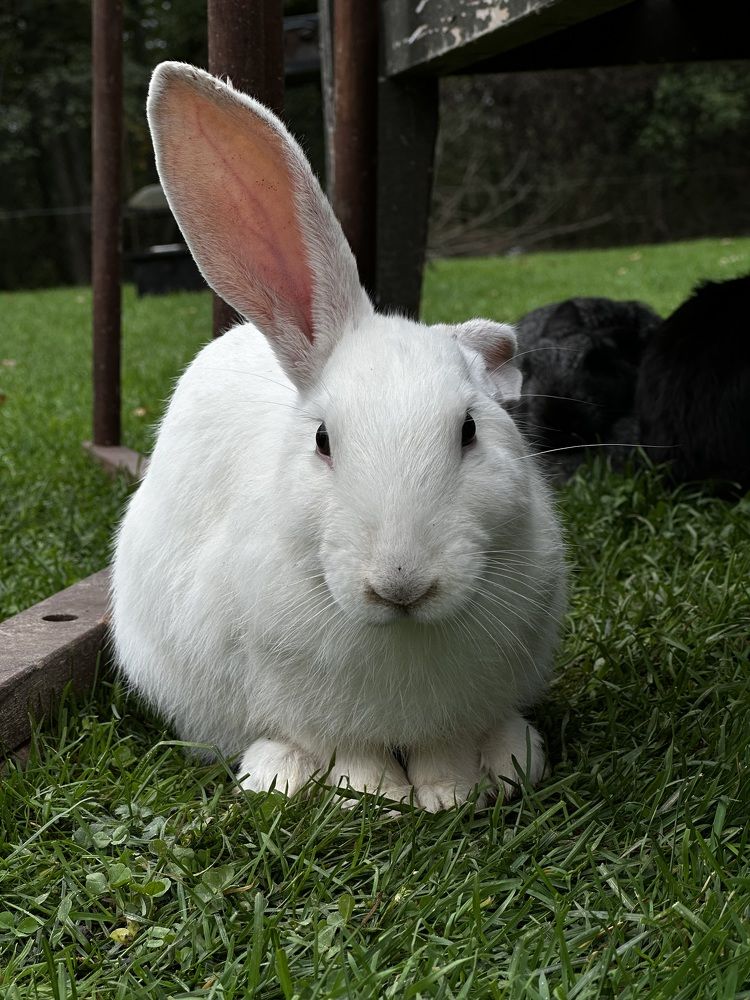 Photograph by Mike Smirnov 14ProMax