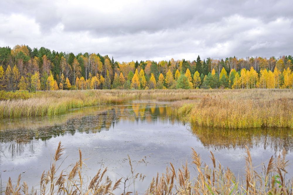 Начало октября в Каркино.