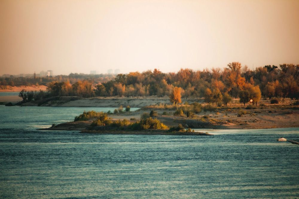 Photograph by Галчонок Фото