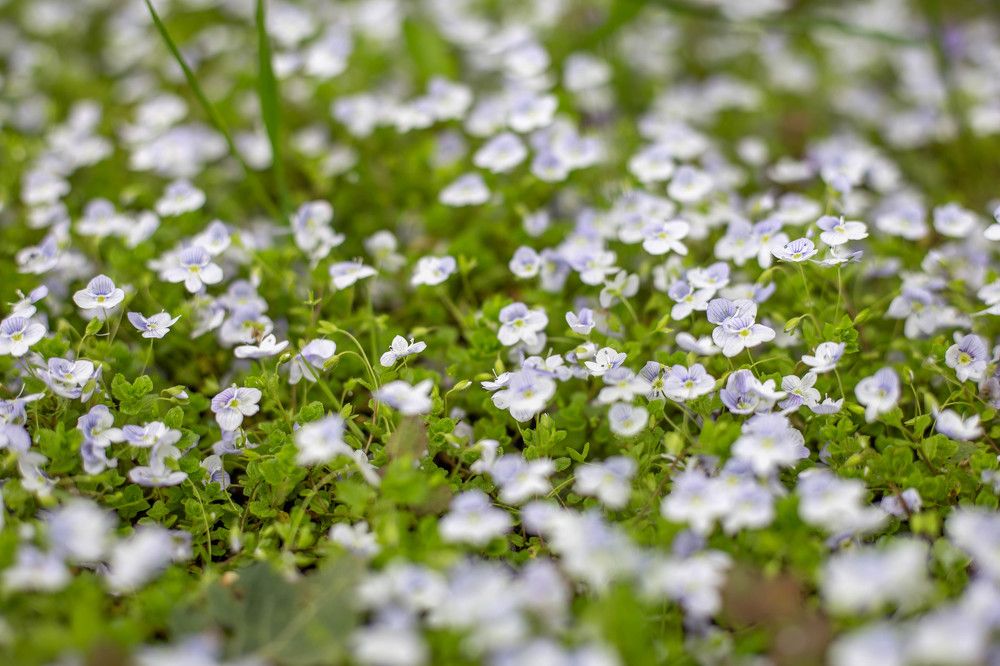 Photograph by Евгения Бочарова
