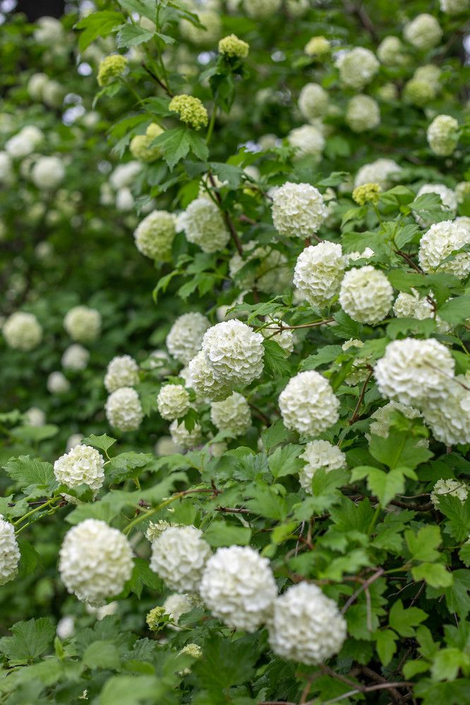 Photograph by Евгения Бочарова