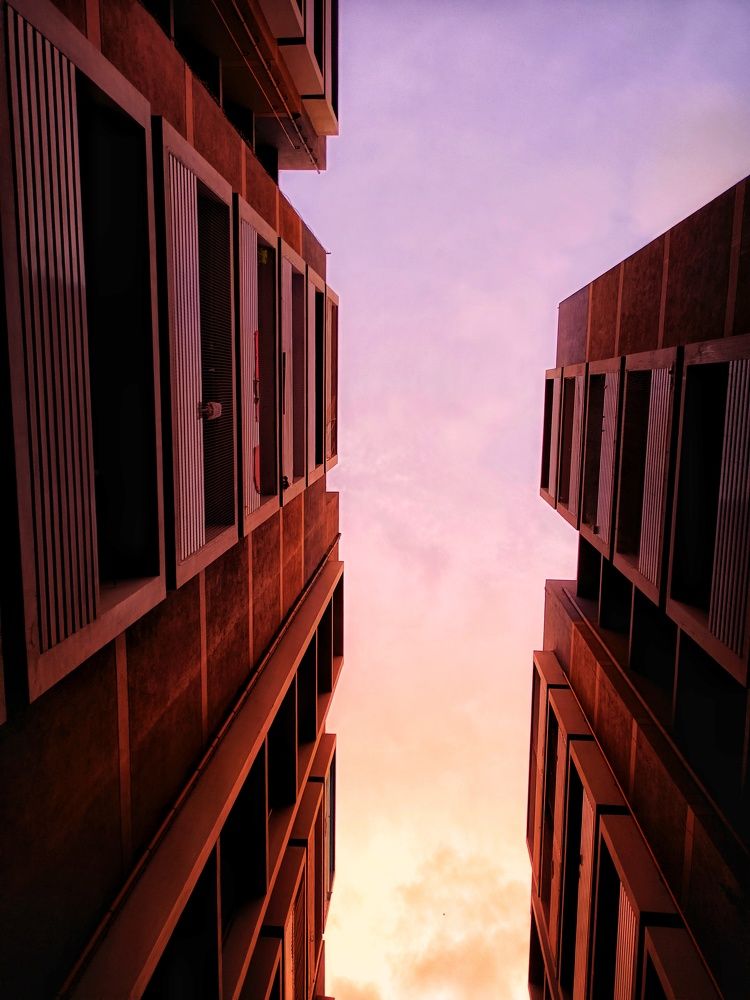 Photograph by Trishla Kadam