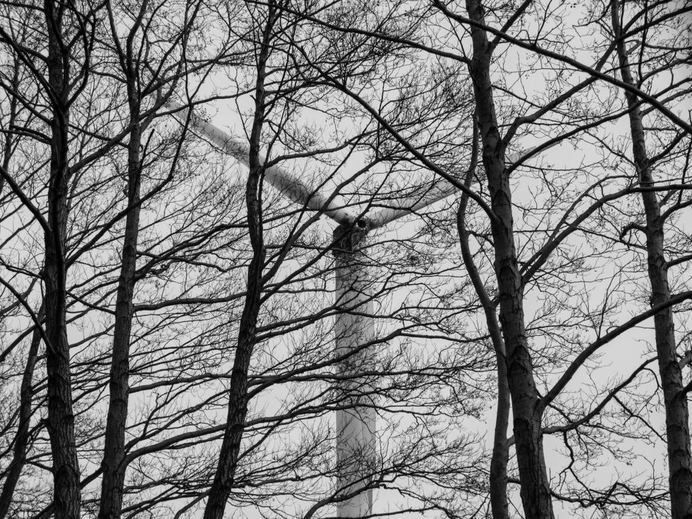 Photograph by Андрюс Рачис