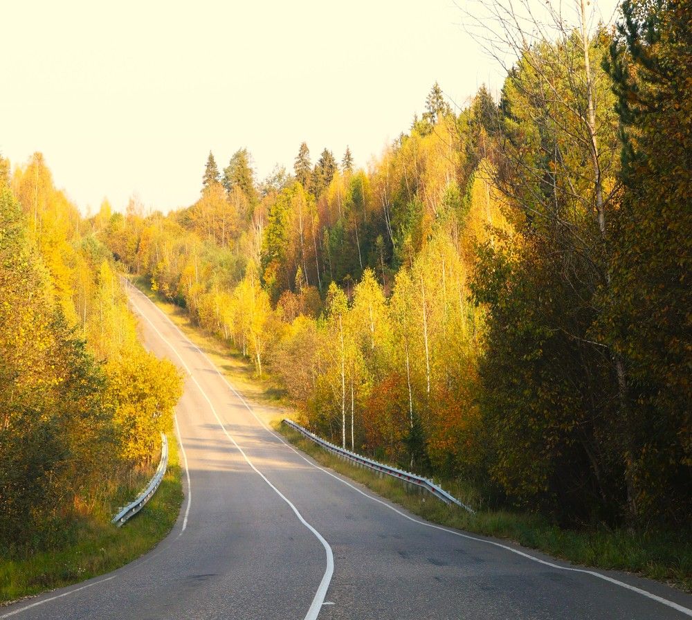 Photograph by Ирина Садовникова