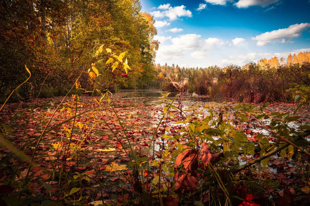 Photograph by Ивлев Артем