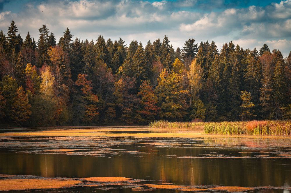 Photograph by Ивлев Артем