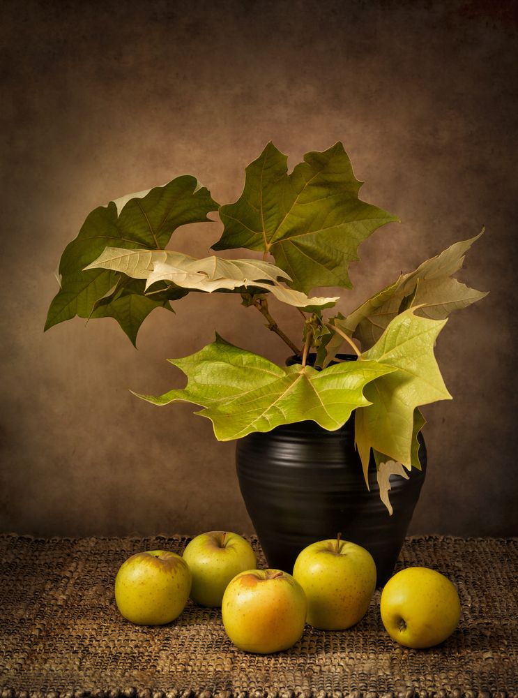 Photograph by Рут