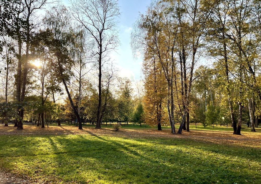 Photograph by Oxana Petlina