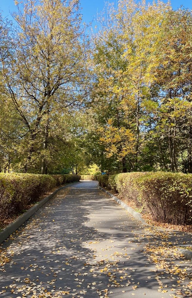 Photograph by Oxana Petlina