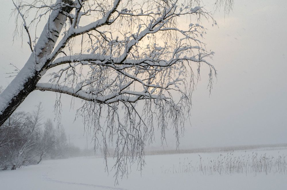 Photograph by Ivan Kozhin