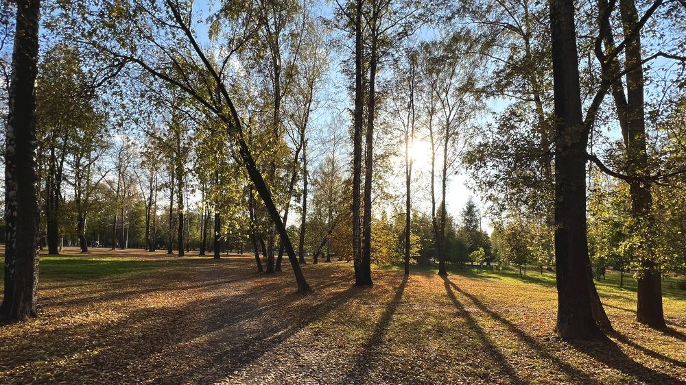 Photograph by Oxana Petlina